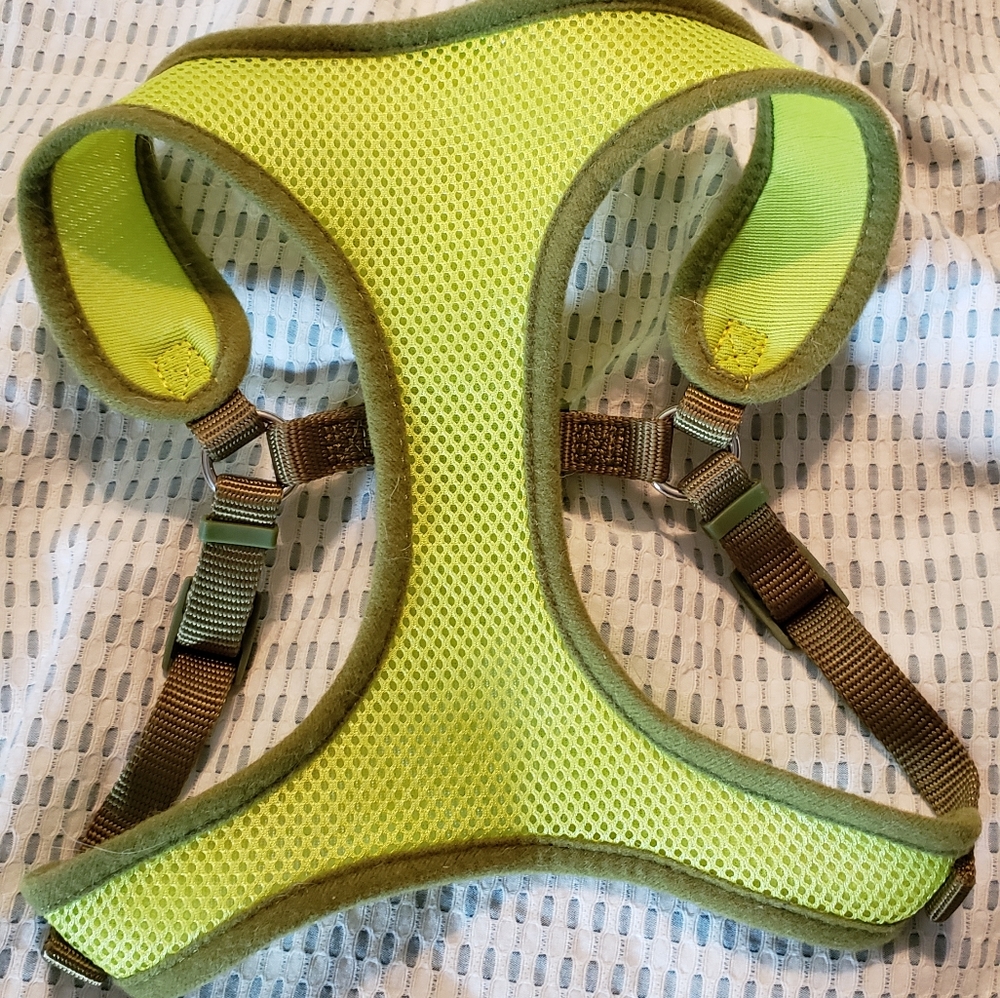 Small dog harness and retractable leash
